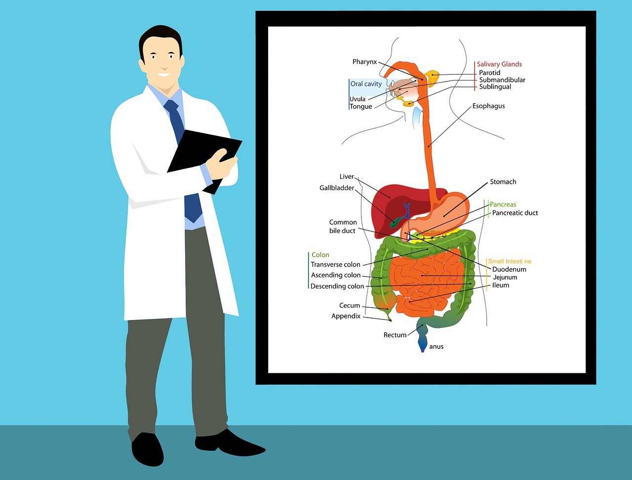 cancer-types-and-how-they-spread-mustasfaa-medical-tourism